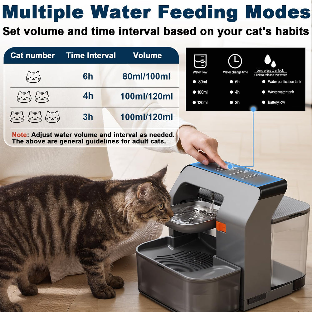 Opération ultra silencieuse Petinstinct adaptée aux animaux sensibles.