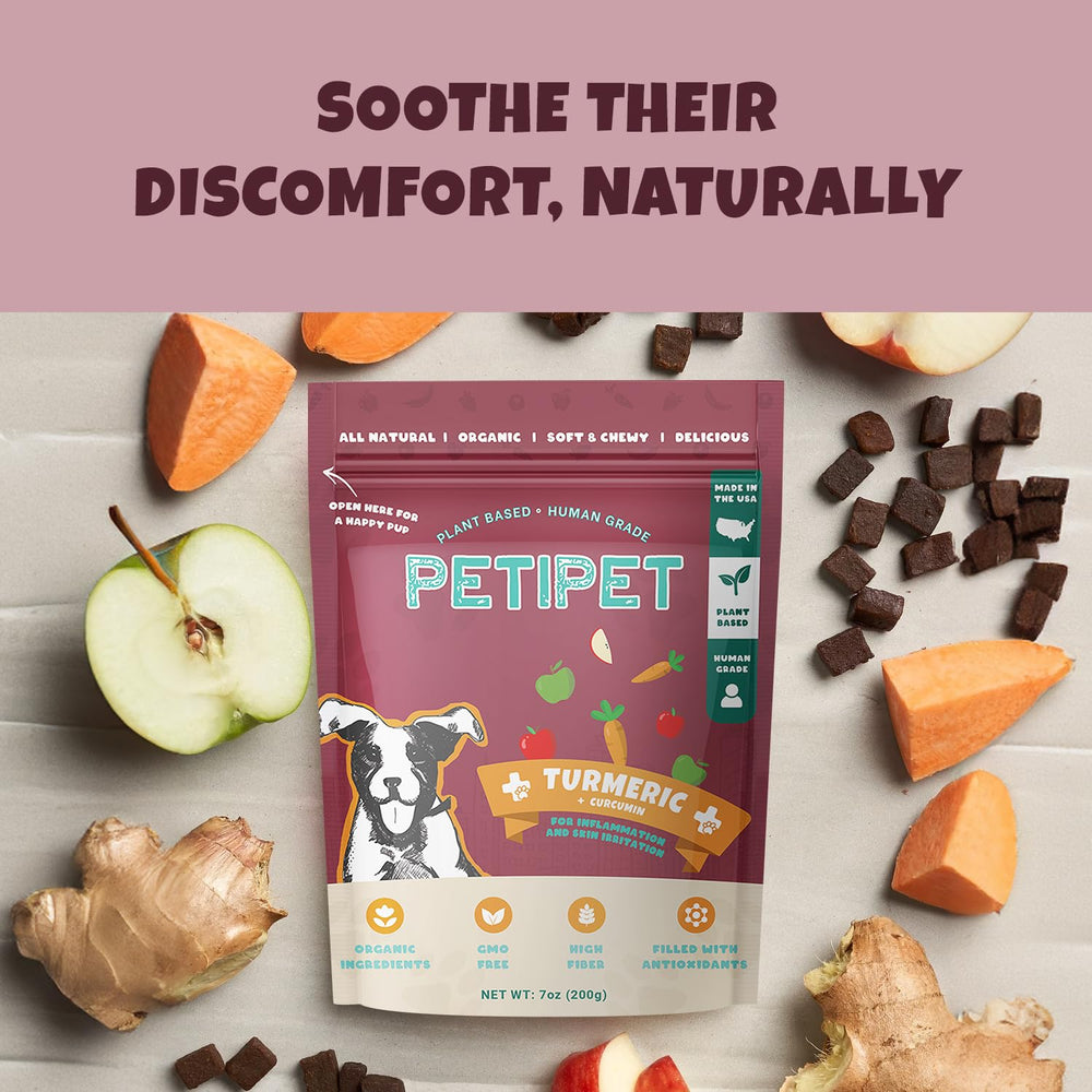 Chien heureux mordant Petipet, moment de plaisir et bien-être.