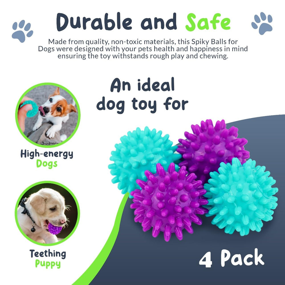 Petit chien poursuivant la balle Petite Paws, stimule l’activité et l’exercice