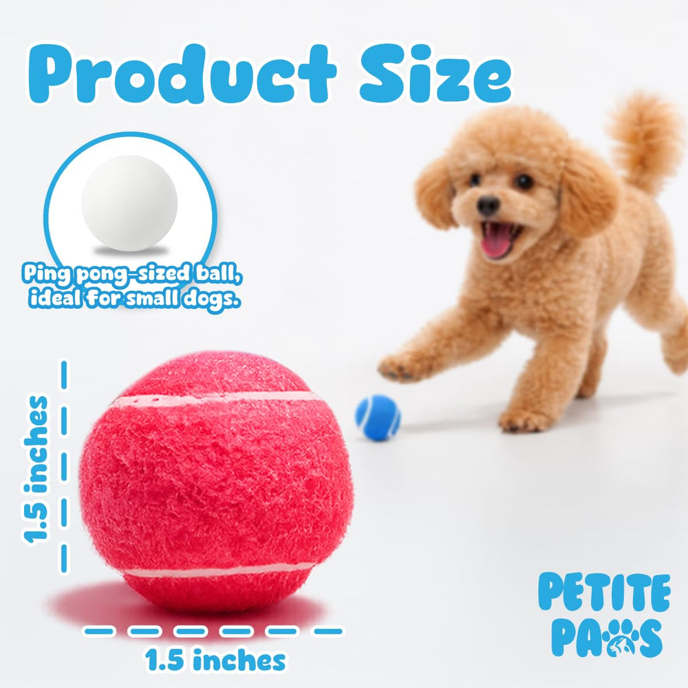 Balles lavande Petite Paws, couleur douce pour jeux joyeux et calmes