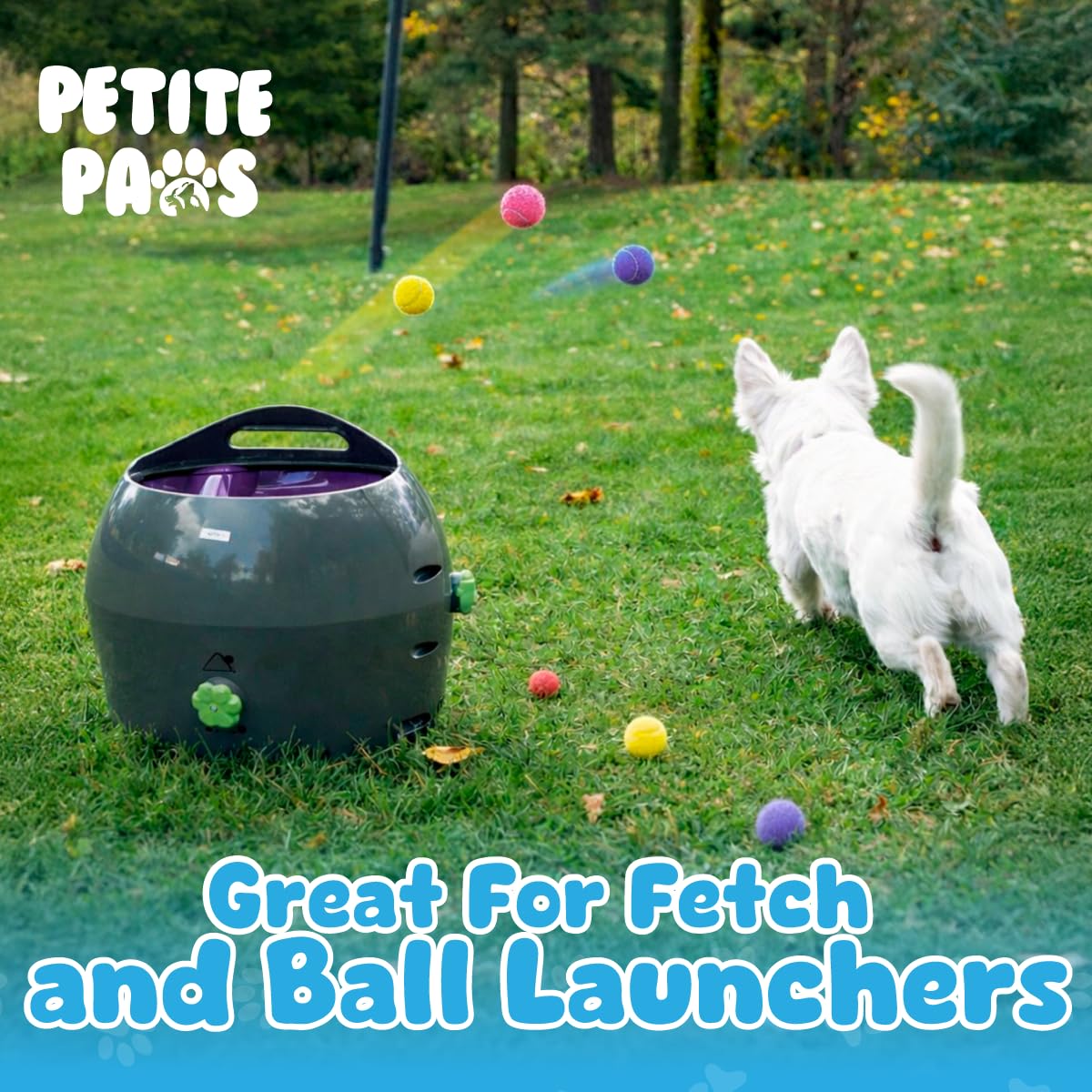 Balles orange néon Petite Paws, visibles et stimulantes pour petits chiens