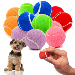 Balles rouges Petite Paws avec couinement, parfaites pour jeux en extérieur