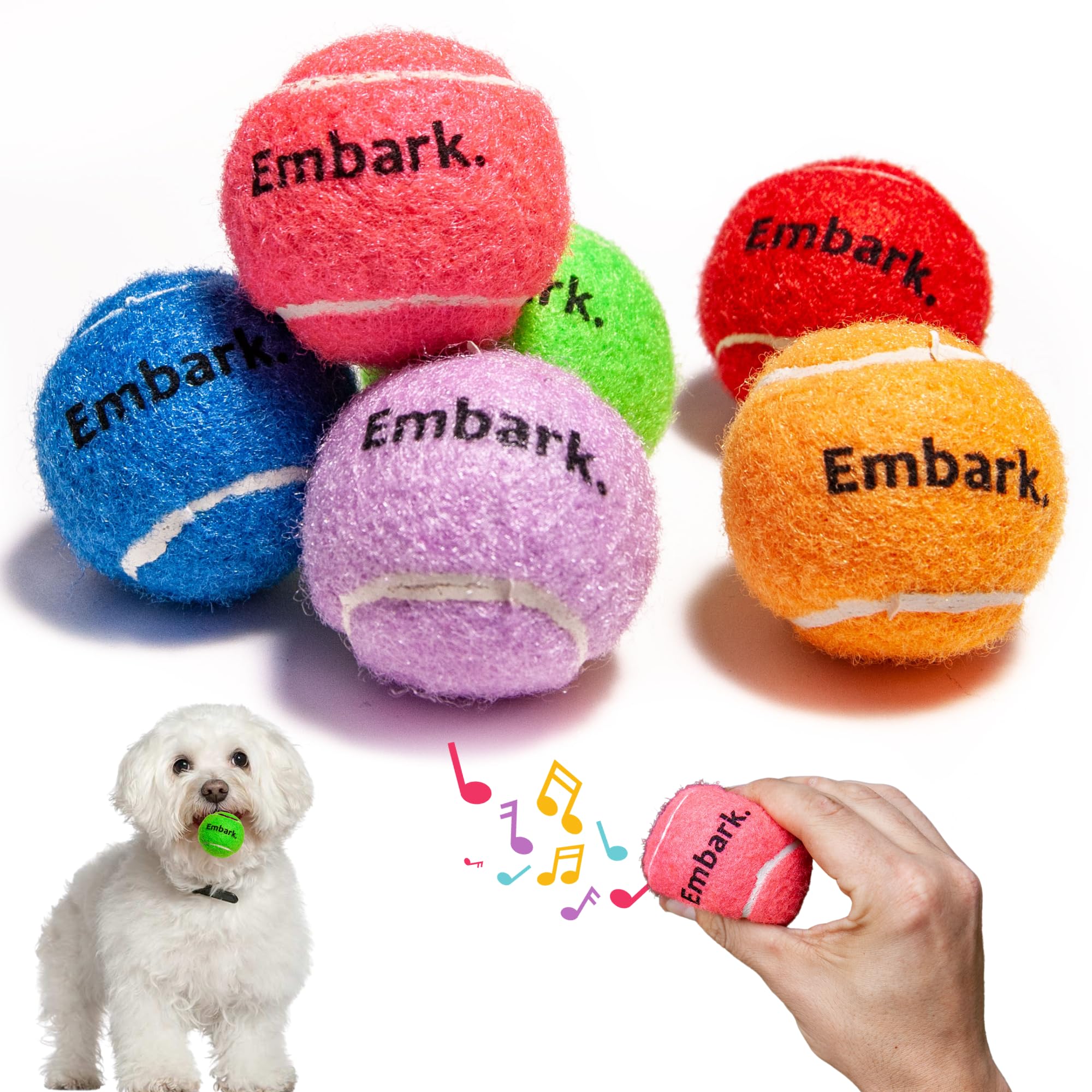Petite Paws balle mini qui siffle, arc-en-ciel, idéale pour des jeux interactifs.