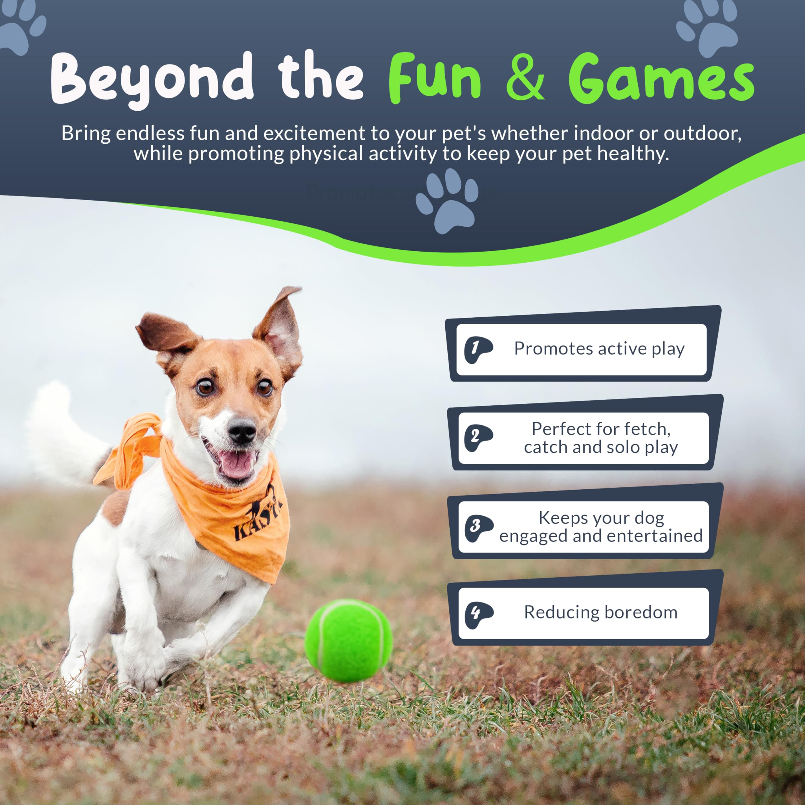 Petite Paws balle mini arc-en-ciel, facile à repérer au parc lors du jeu de récupération.