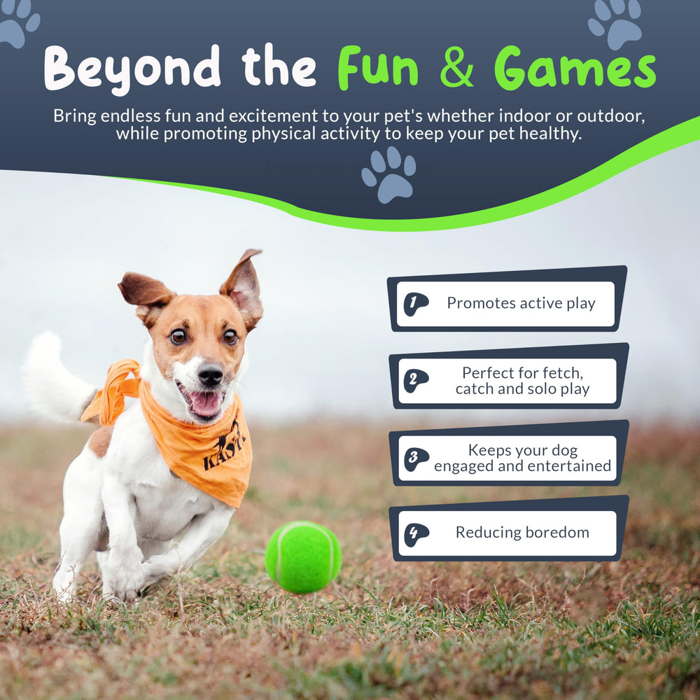 Petite Paws balle mini arc-en-ciel, facile à repérer au parc lors du jeu de récupération.