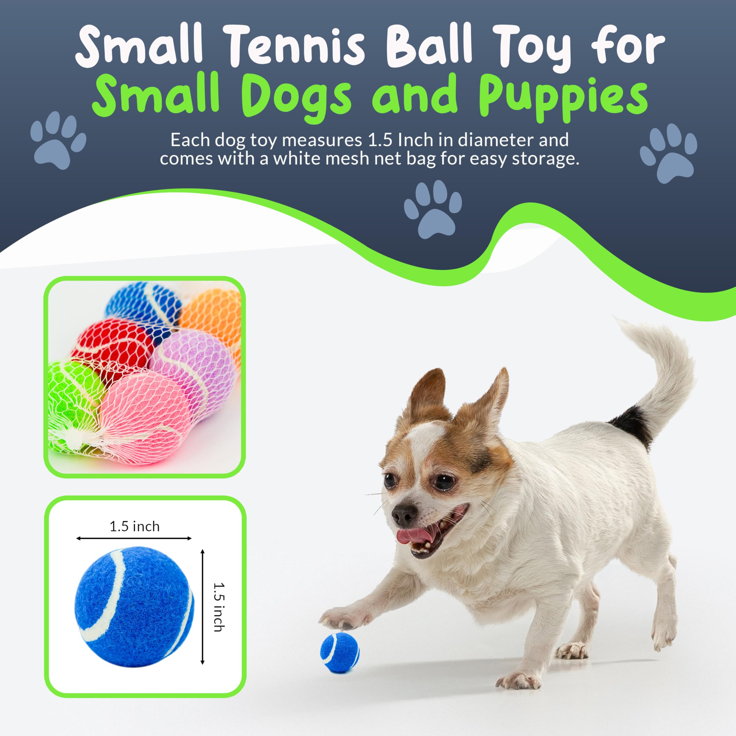 Petite Paws balle mini 1,5 pouce, adaptée pour petites races et manipulation facile.