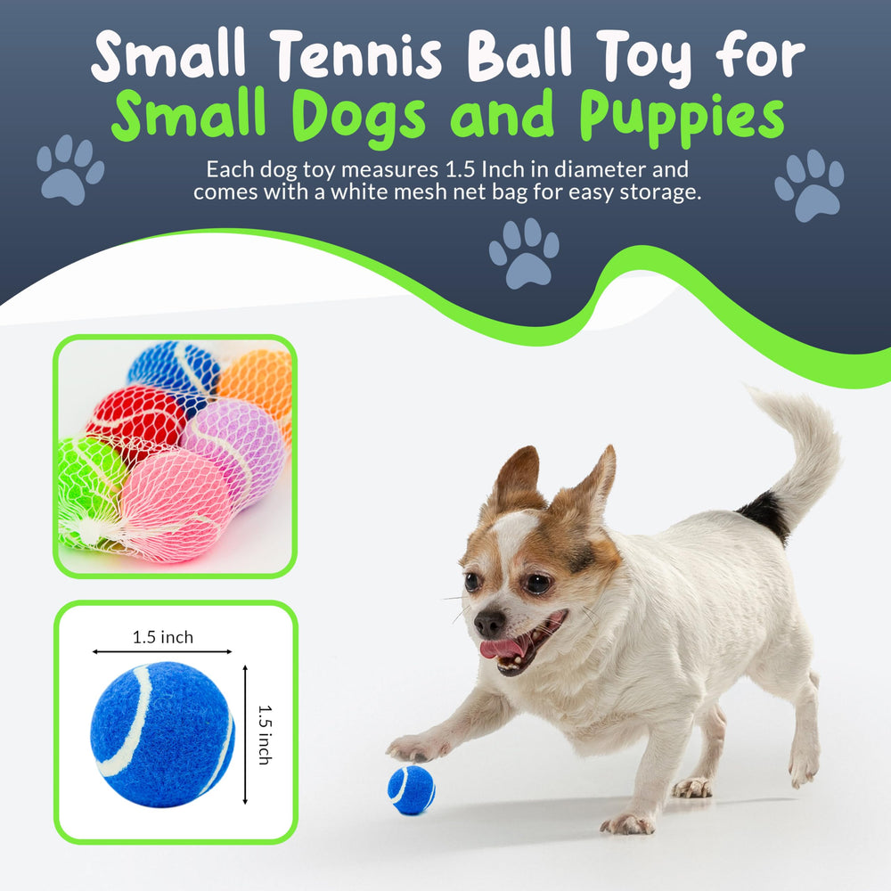 Petite Paws balle mini 1,5 pouce, adaptée pour petites races et manipulation facile.