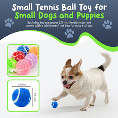 Petite Paws balle mini 1,5 pouce, adaptée pour petites races et manipulation facile.