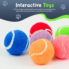 Petite Paws balle qui siffle arc-en-ciel, parfaite pour l'entraînement positif.