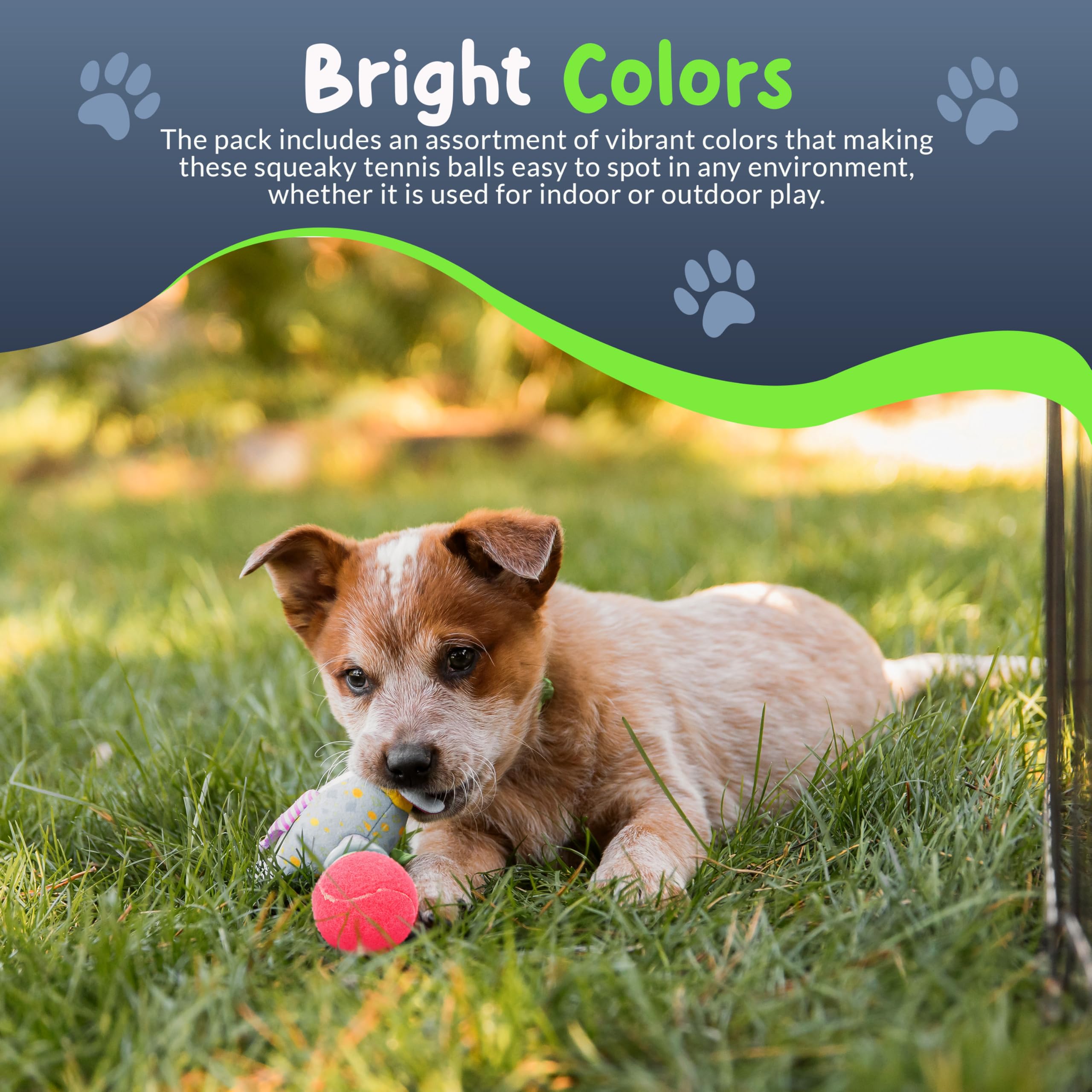 Petite Paws ensemble de 6 balles, rangement net pratique.