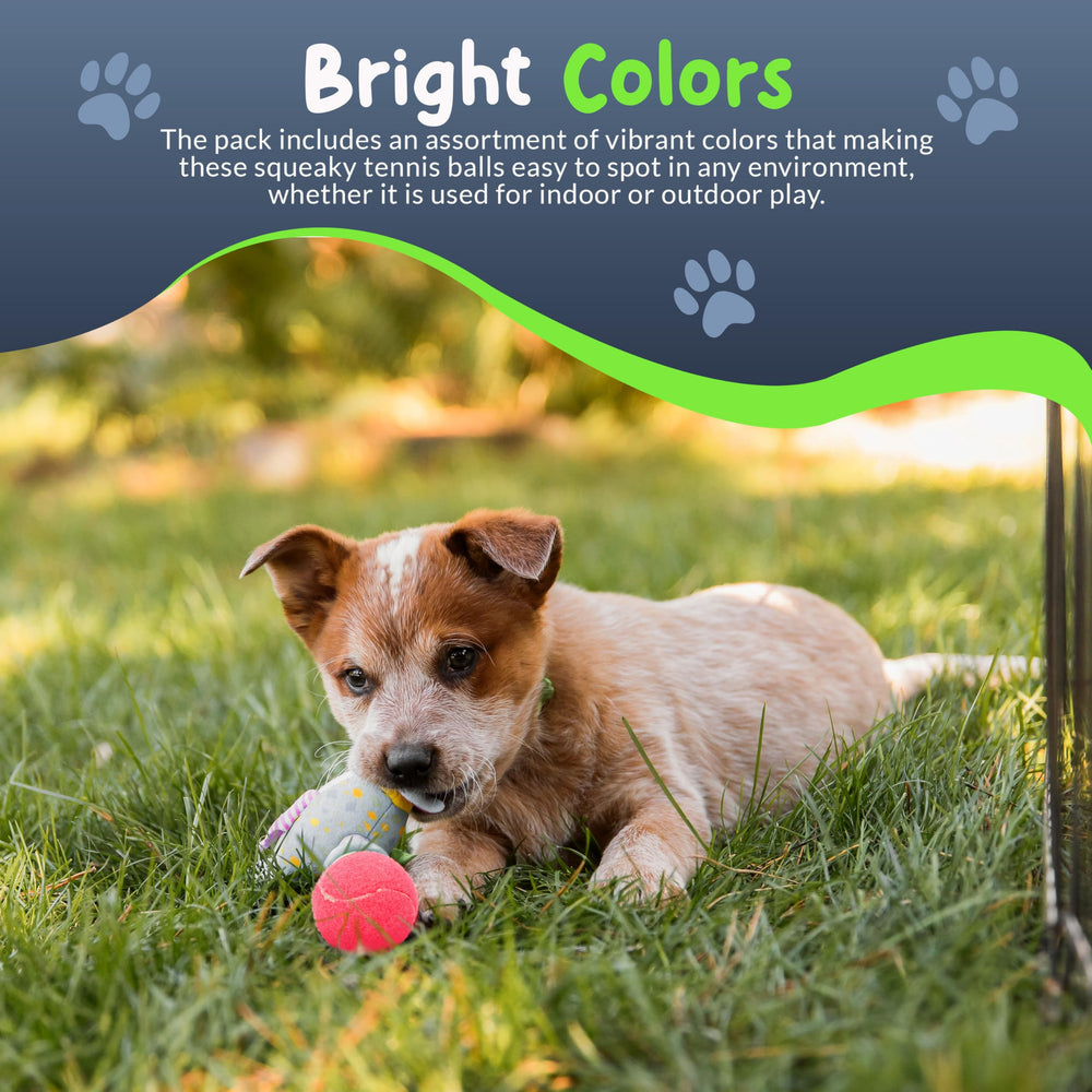 Petite Paws ensemble de 6 balles, rangement net pratique.
