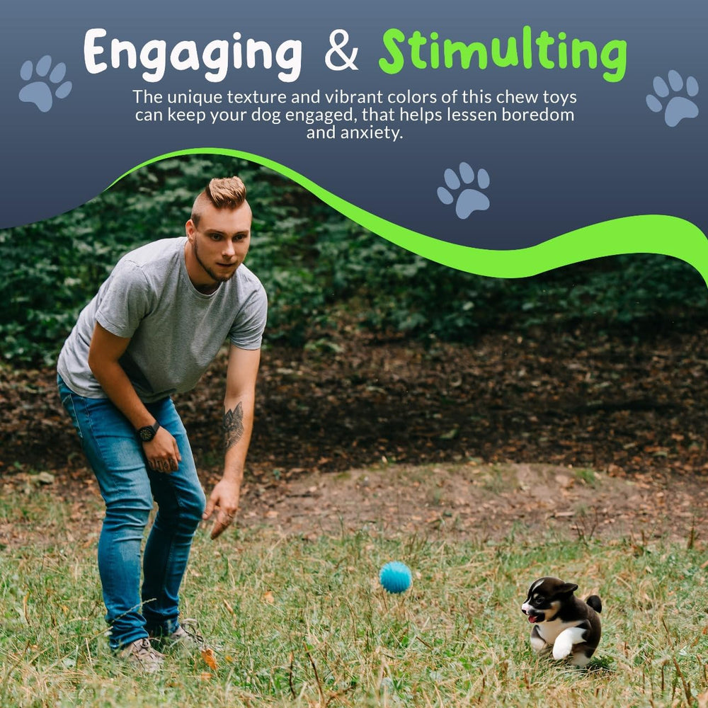 Ensemble de 4 balles colorées Petite Paws pour entraînement intérieur et extérieur