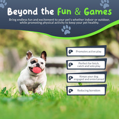 Petite Paws SuperFetch balle verte, divertit les chiots actifs.