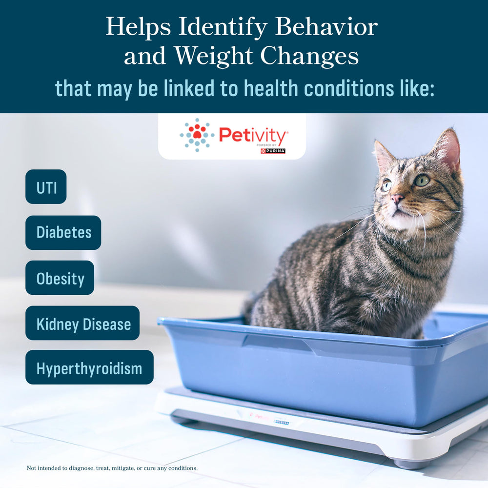 Petivity alertes-ia-sante-chat: signale rapidement les variations potentielles.