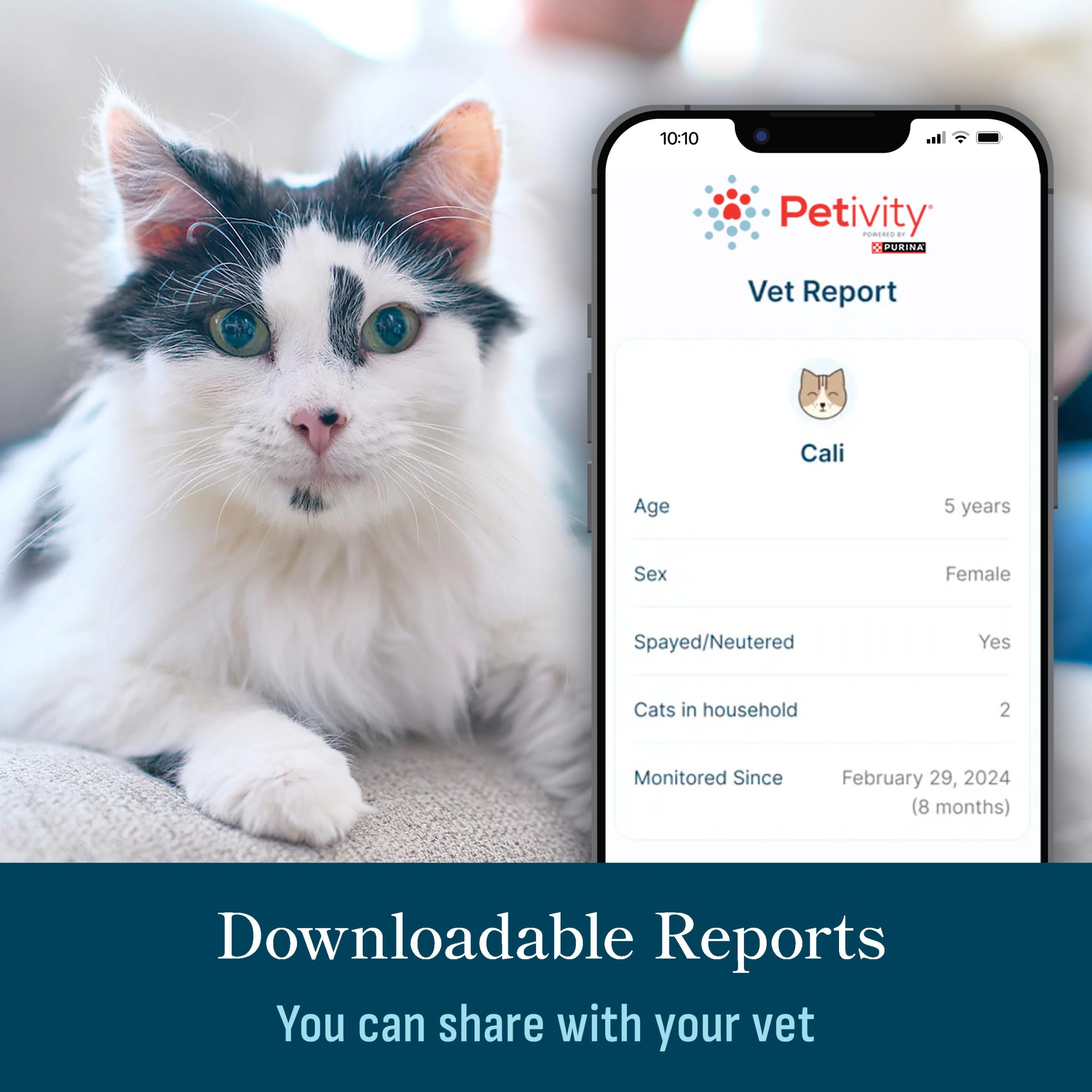 Petivity gestion-plusieurs-chats-sans-collier: identifie chaque chat sans collier.