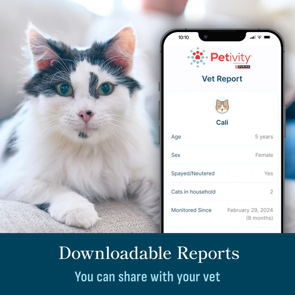 Petivity gestion-plusieurs-chats-sans-collier: identifie chaque chat sans collier.