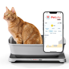 Petivity moniteur-litiere intelligent installation: suivi précis des habitudes de litière.