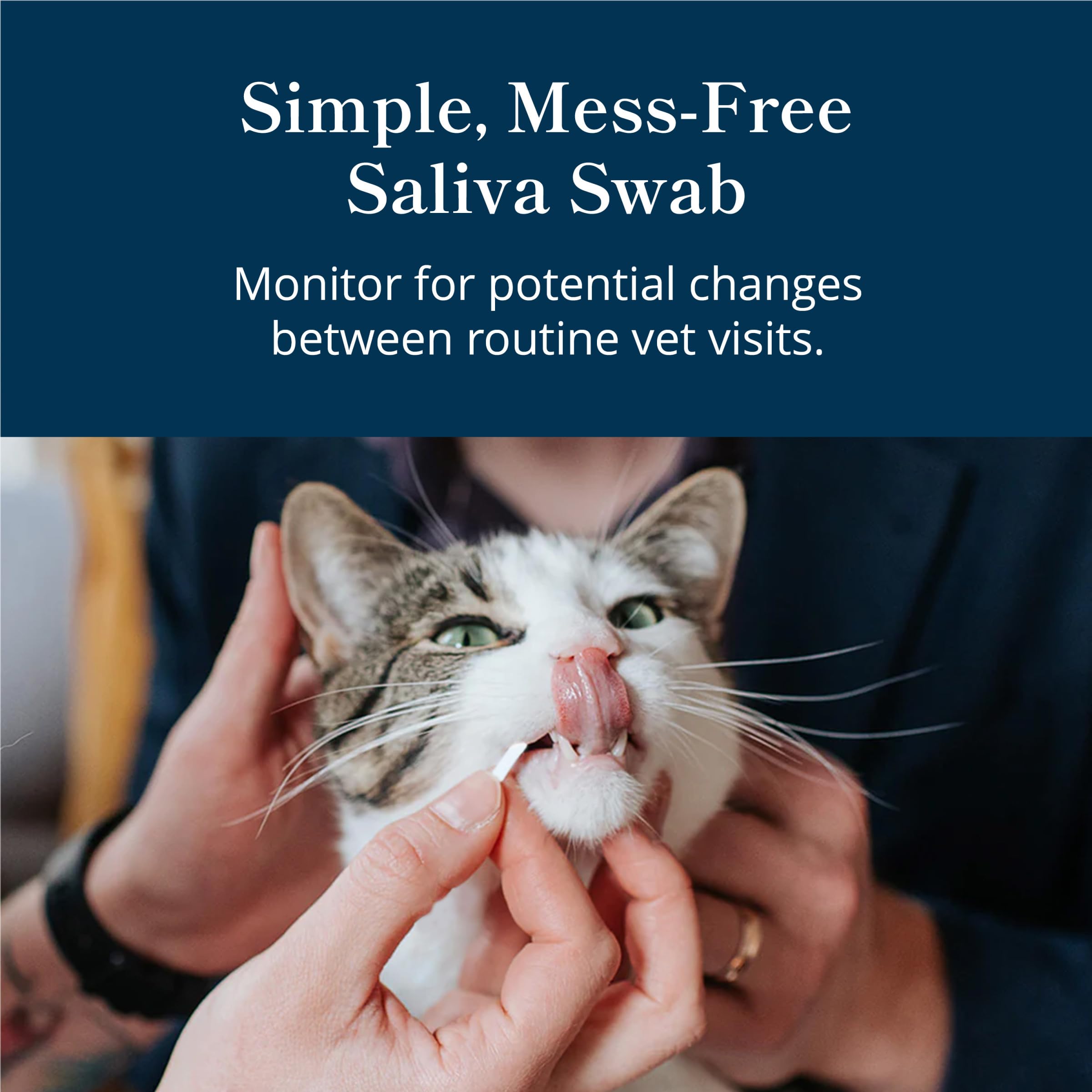 Petivity prelevement-saliva-chat : prélèvement simple et hygiénique pour le test.