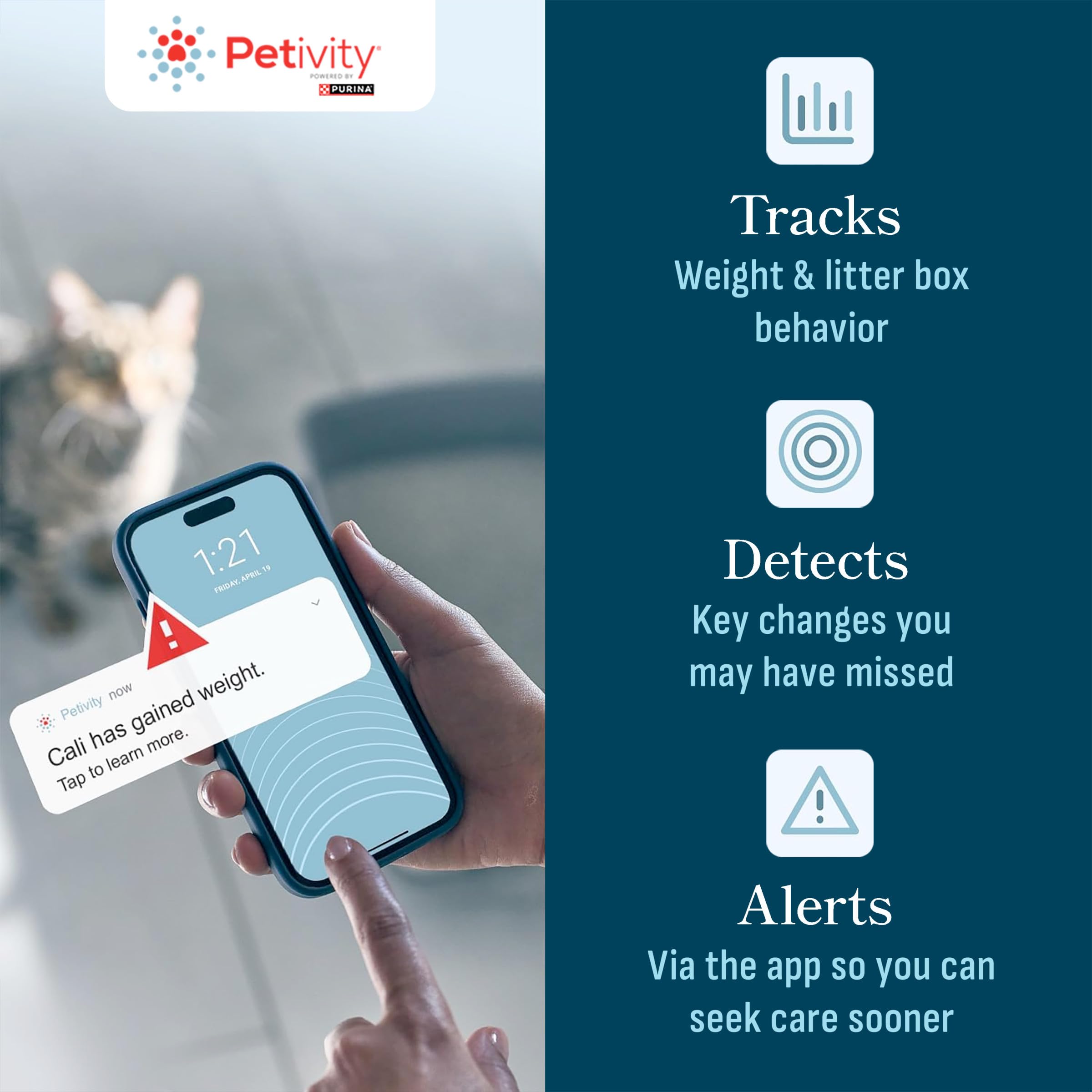 Petivity suivi-poids-chat-en-direct: visualisation claire du poids du chat.