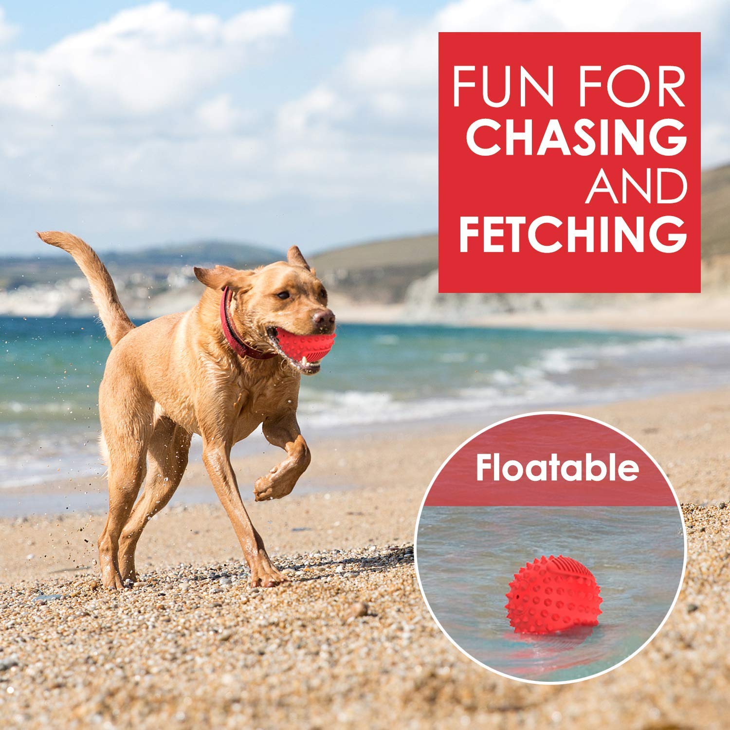 Petizer balle interactive remplissable, stimulation et friandises possibles.