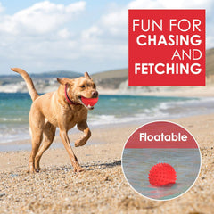 Petizer balle interactive remplissable, stimulation et friandises possibles.