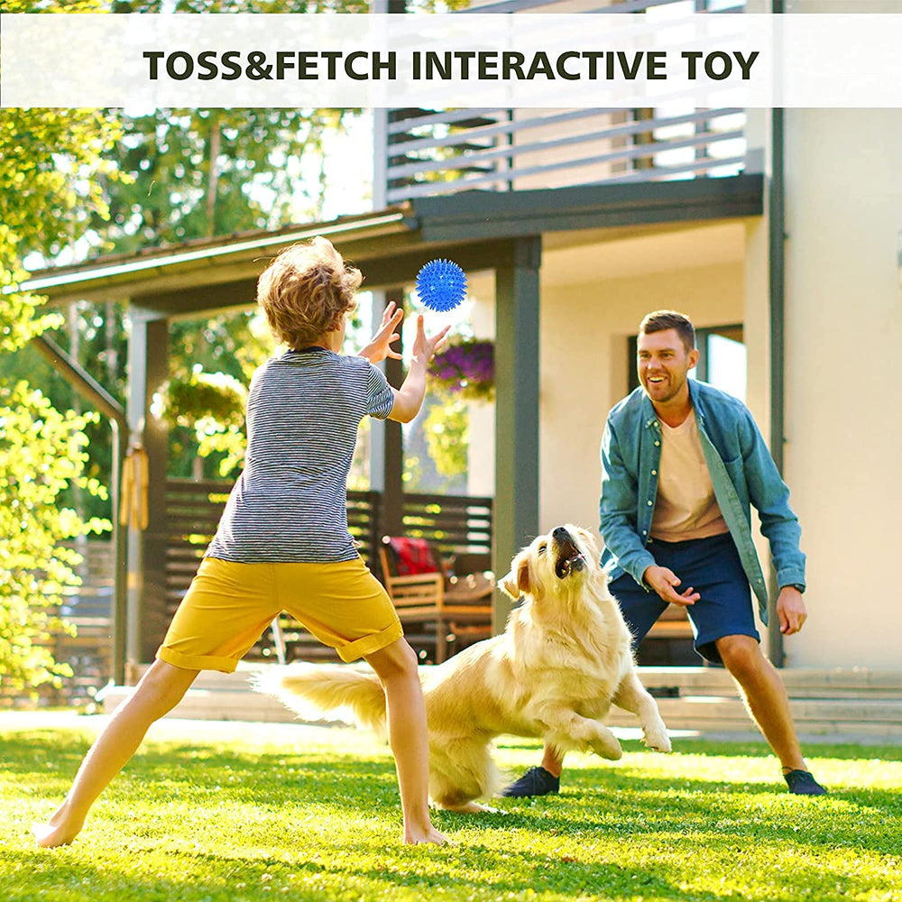 Petizer balle pour fetch, durabilité adaptée à l’extérieur