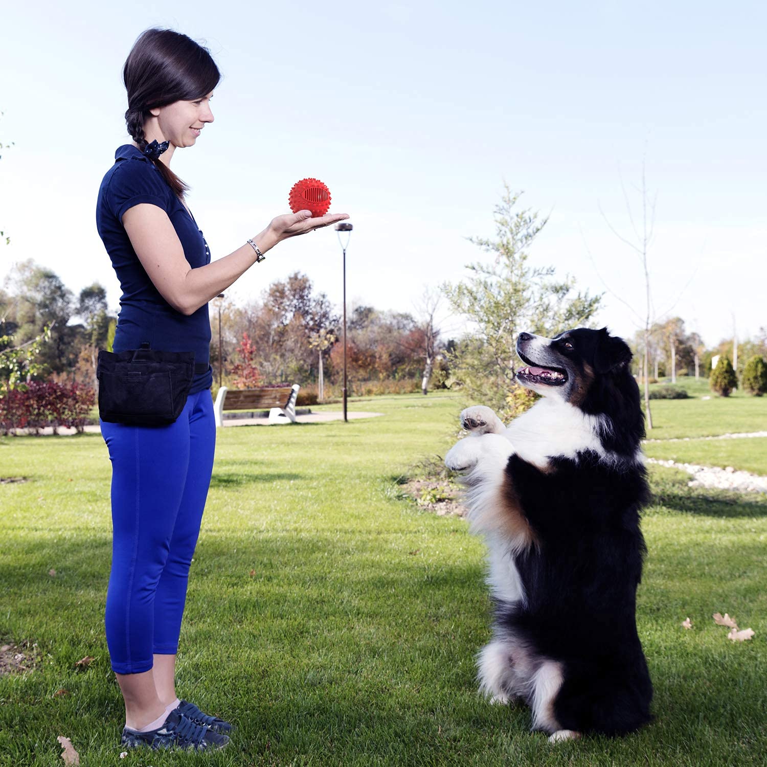 Petizer balle toutes tailles chien, adaptée pour petits à grands.