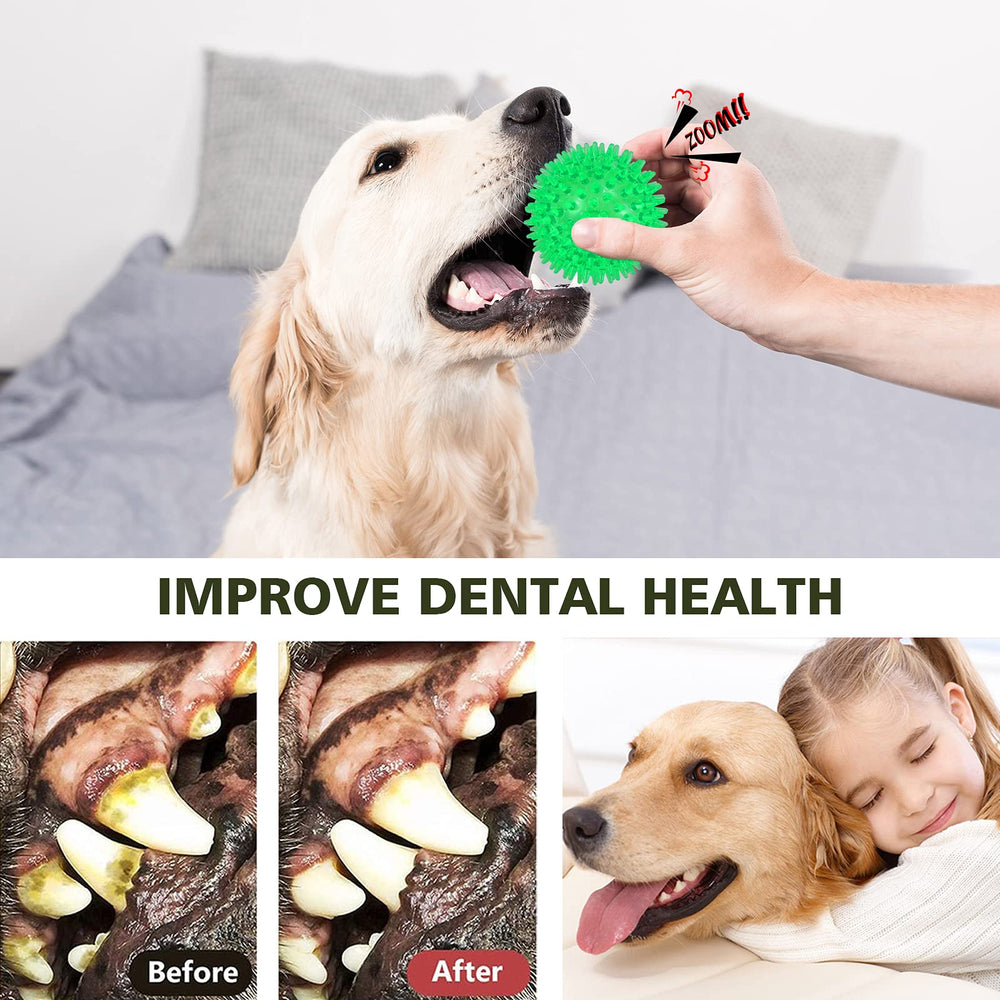 Balle Petizer dentition en TPR sans BPA pour chiens