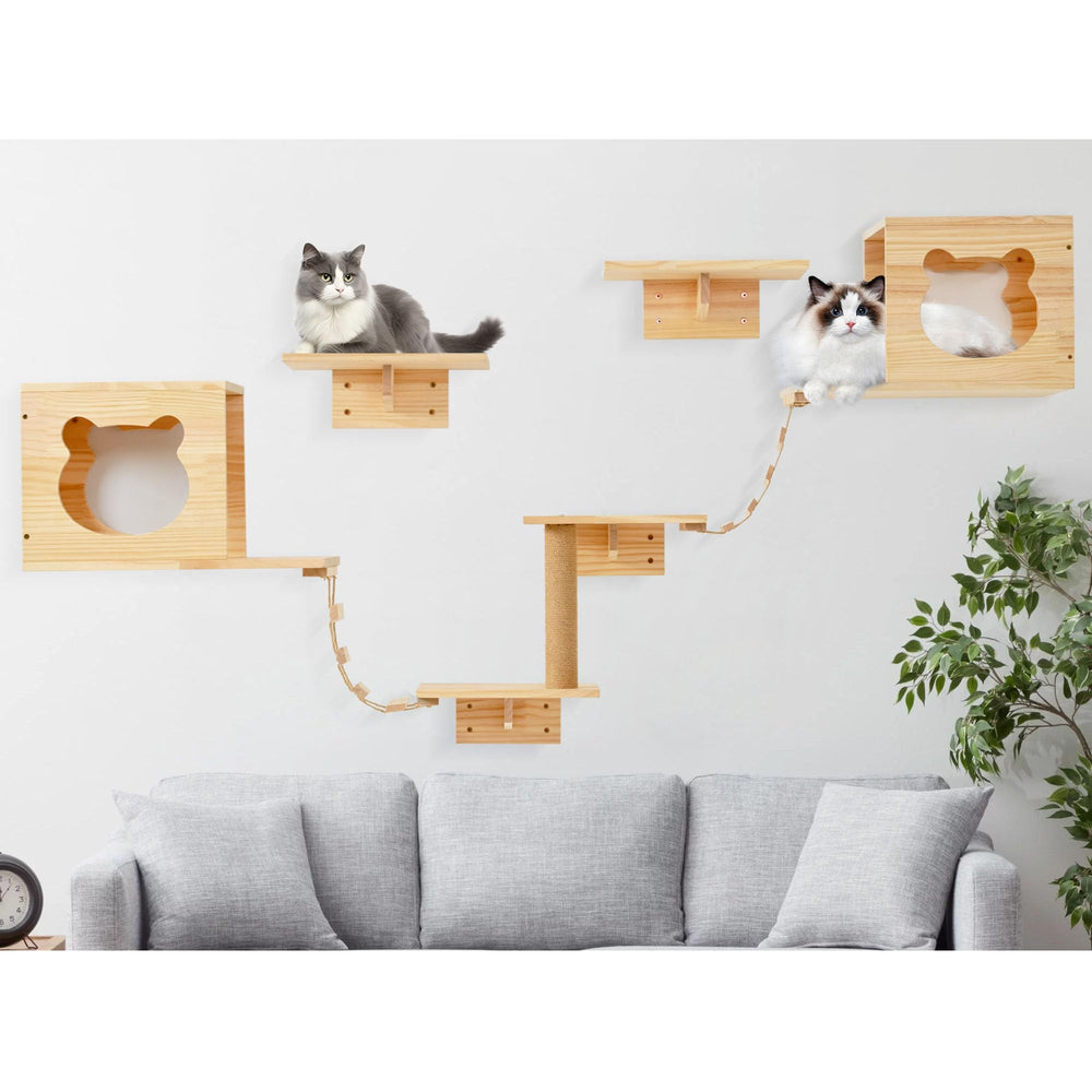 PETKABOO ensemble mural: combinaisons infinies pour votre intérieur