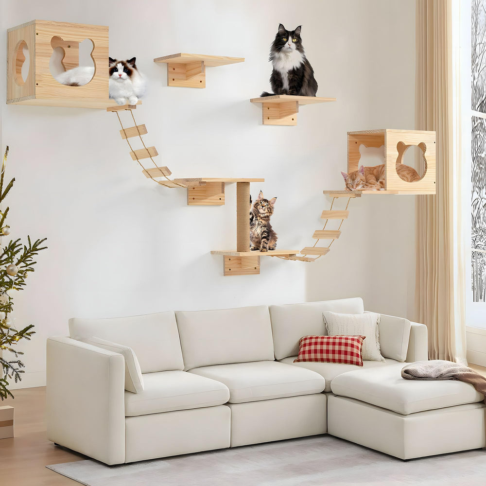 PETKABOO étagères murales pour chats: montage facile et options d’agencement