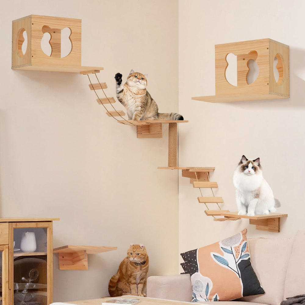 PETKABOO installation facile: kit et manuel inclus