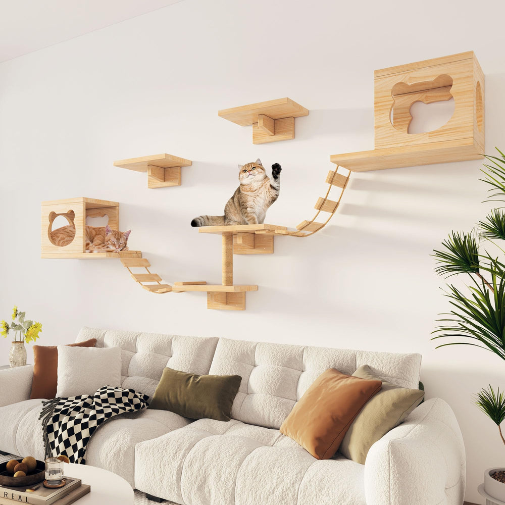 PETKABOO support en bois: sécurité renforcée pour les sessions