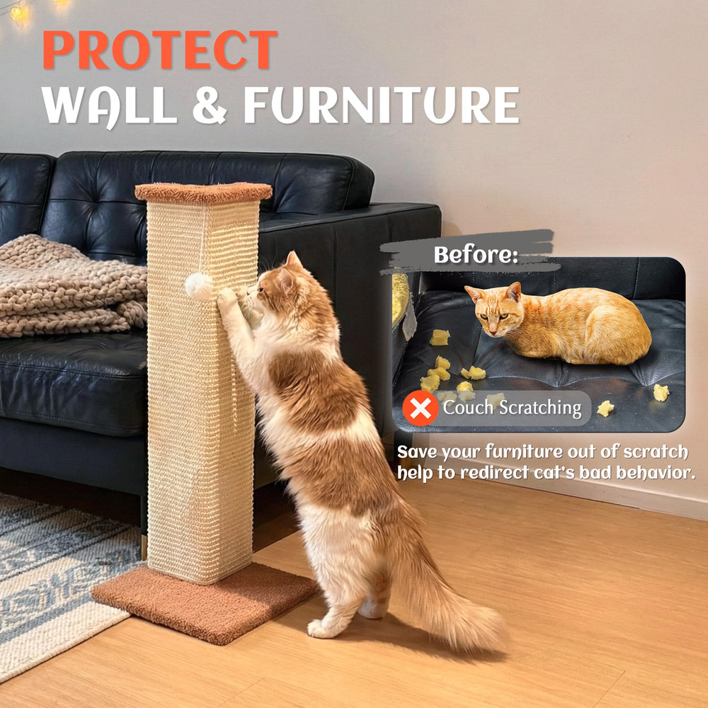 PETKARAY balle jouet incluse: attire le chat et stimule le jeu.
