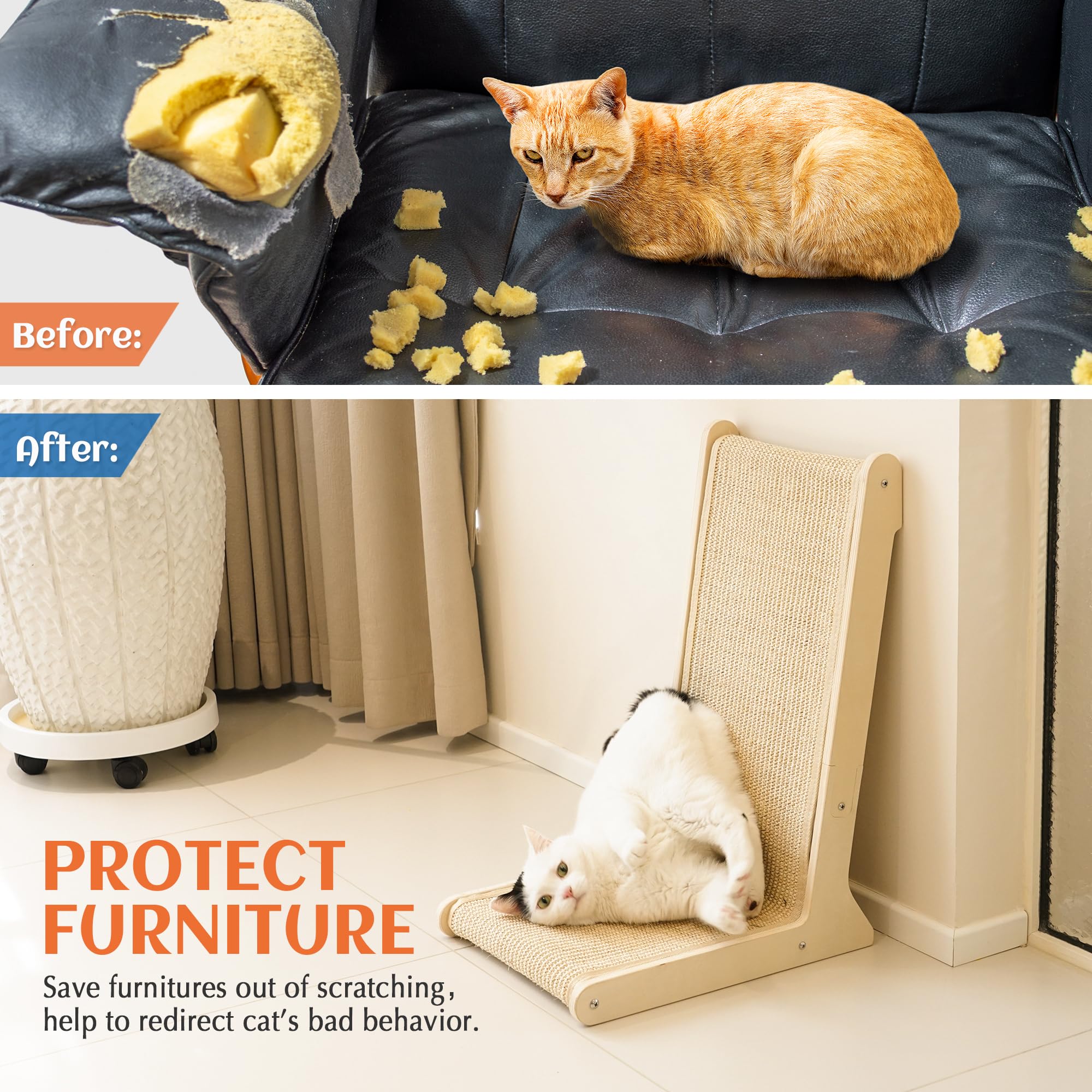 PETKARAY herbe à chat incluse pour attirer le chat.