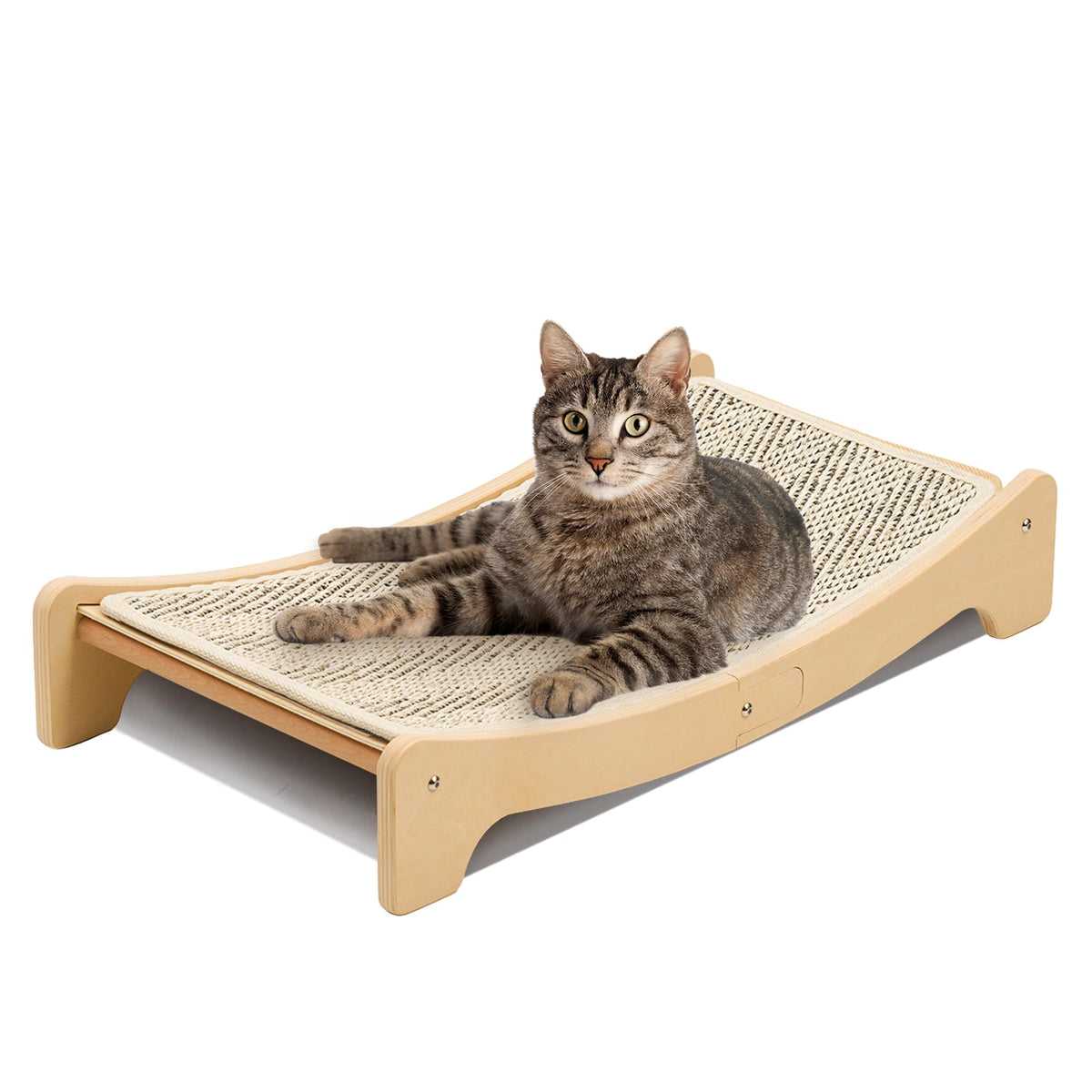 PETKARAY planche-grattoir courbee: griffage sûr et durable pour votre chat