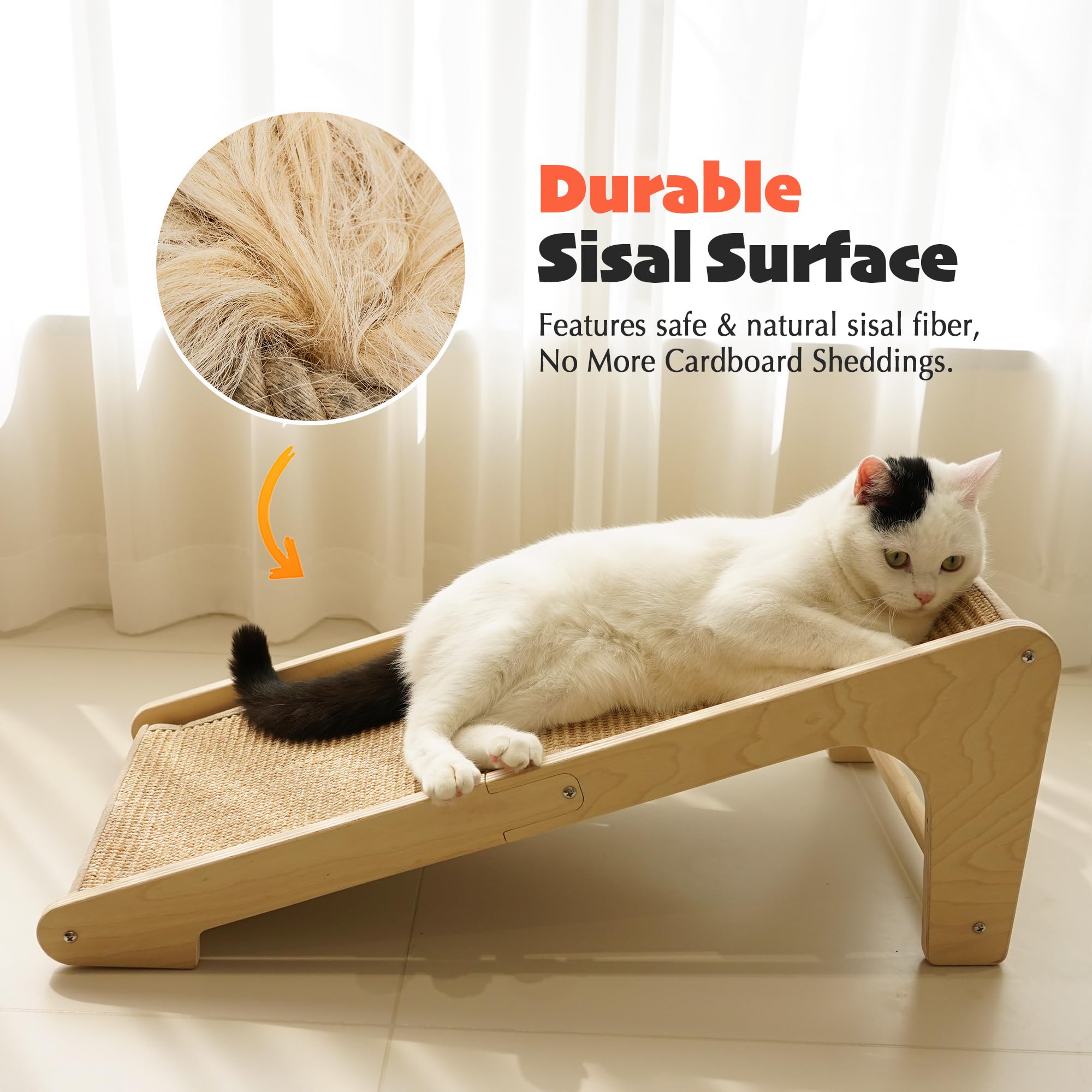 PETKARAY ramp au sol, utilisation polyvalente et accessibilité pour le chat.