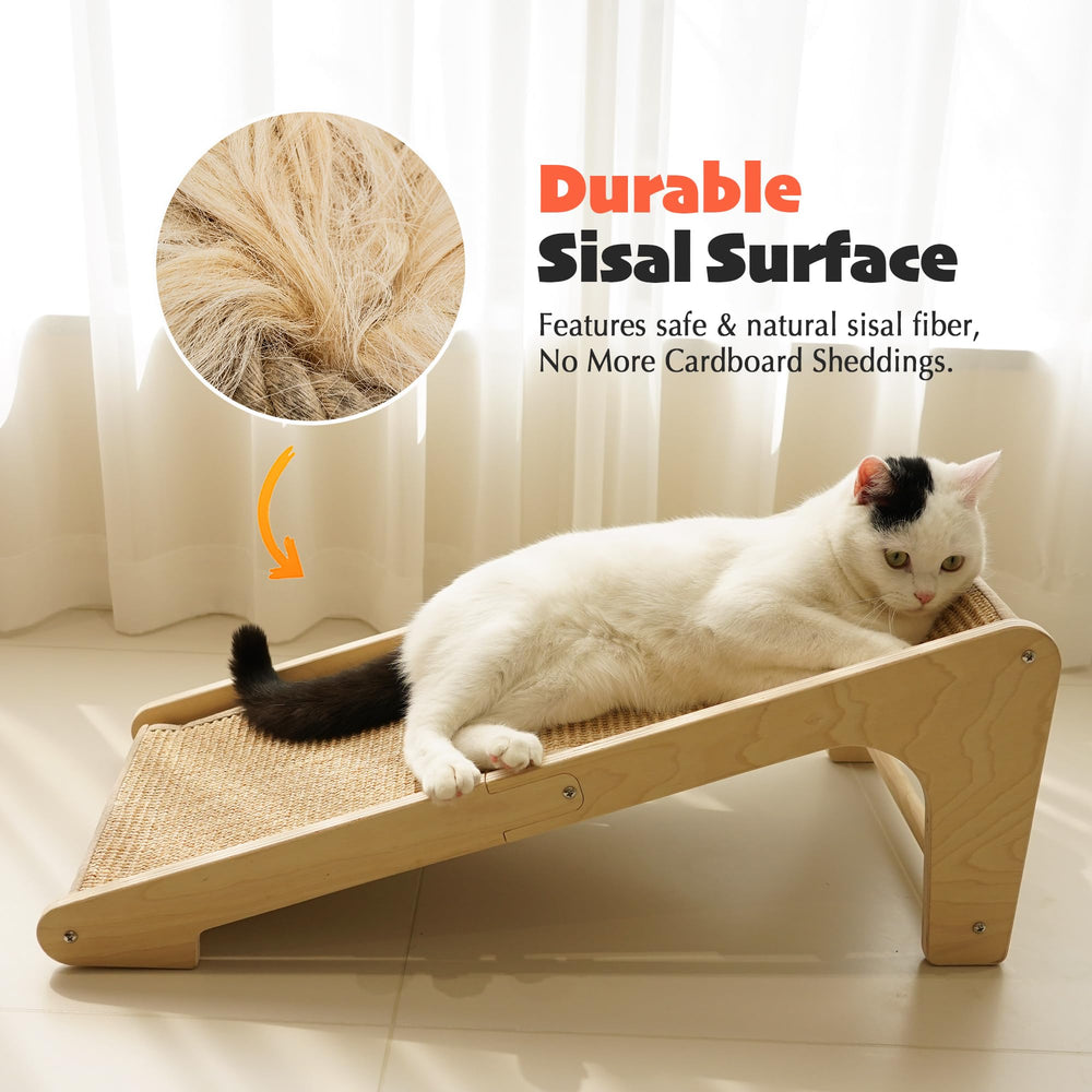 PETKARAY ramp au sol, utilisation polyvalente et accessibilité pour le chat.
