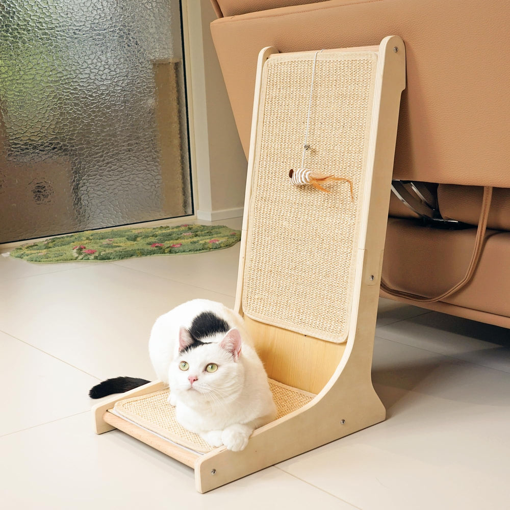 Utilisation quotidienne du gratoir PETKARAY pour le chat