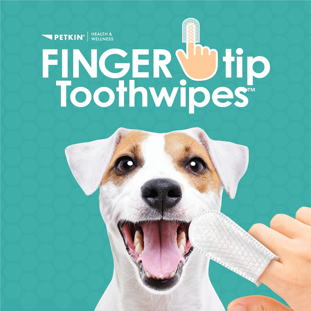Petkin Fingertip sur doigt en action pour un brossage doux et efficace.