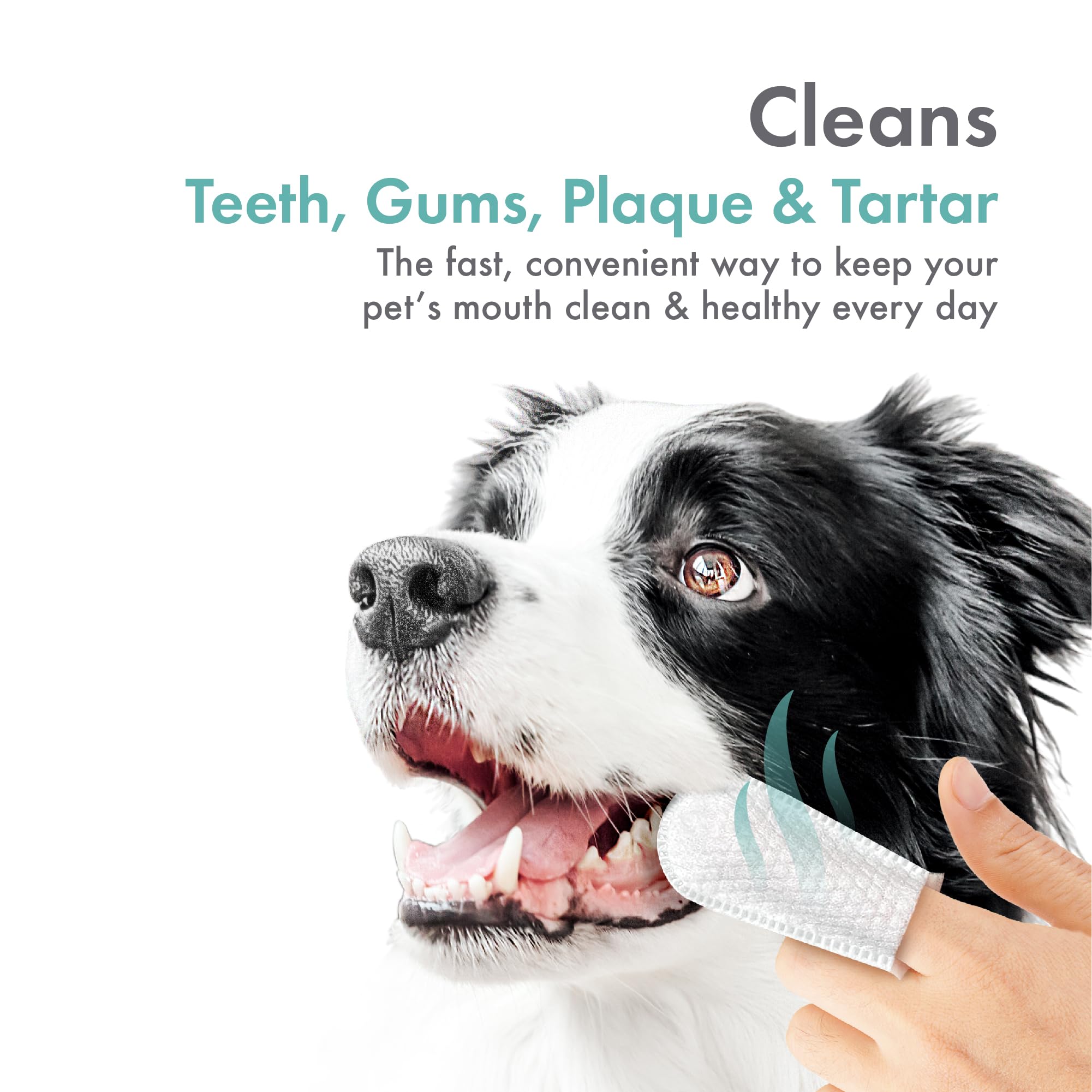 Petkin Fingertip, texture micro-brosse nettoie plaque et tartre sans rinçage.