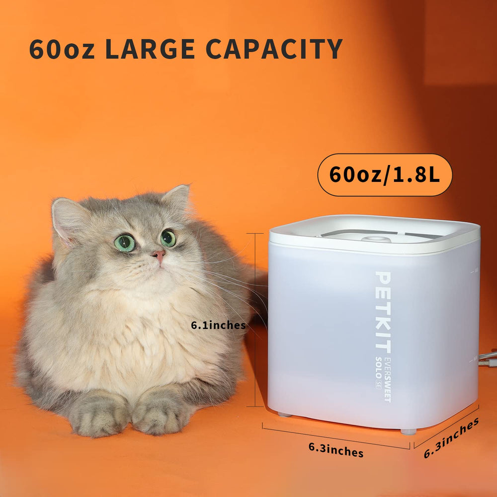 Jaillissement régulier attirant les chats et potentiellement augmentant l’hydratation.