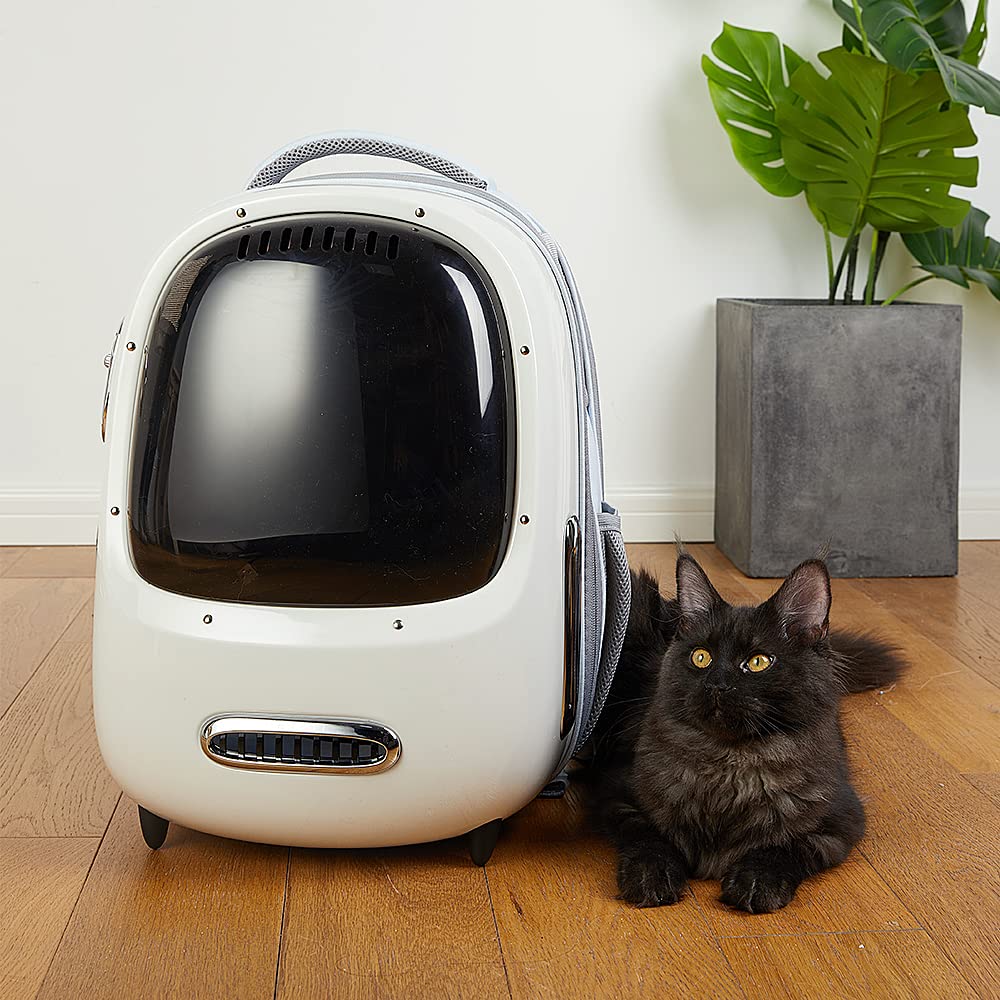PETKIT sac dos chat bretelles rembourrées offrant un port stable
