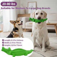 Le jouet alligator PETKN avec sifflet caché offre un son ludique et durable pendant le jeu.