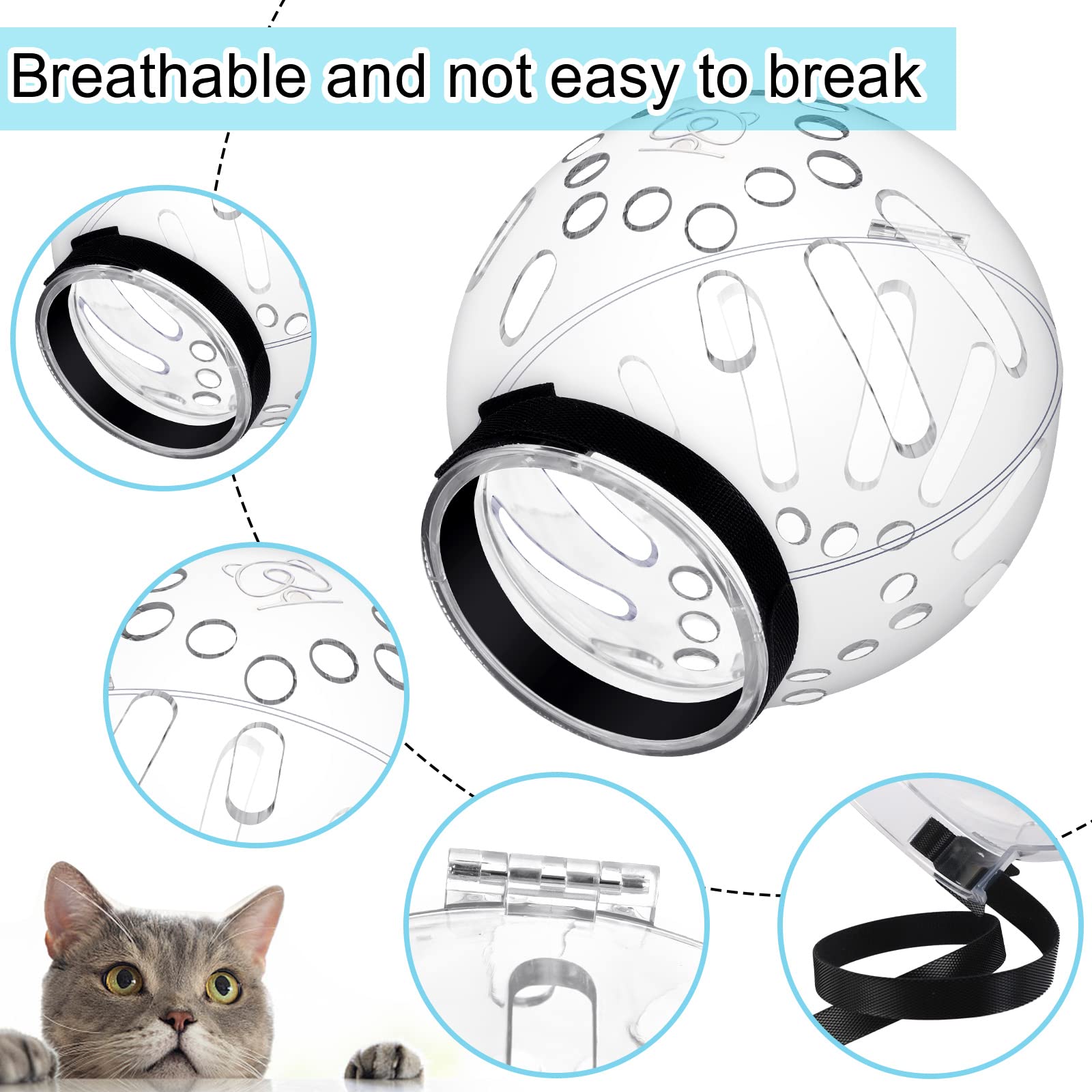 Casque PETKNOWS chat – ventilation et confort pour les bains.