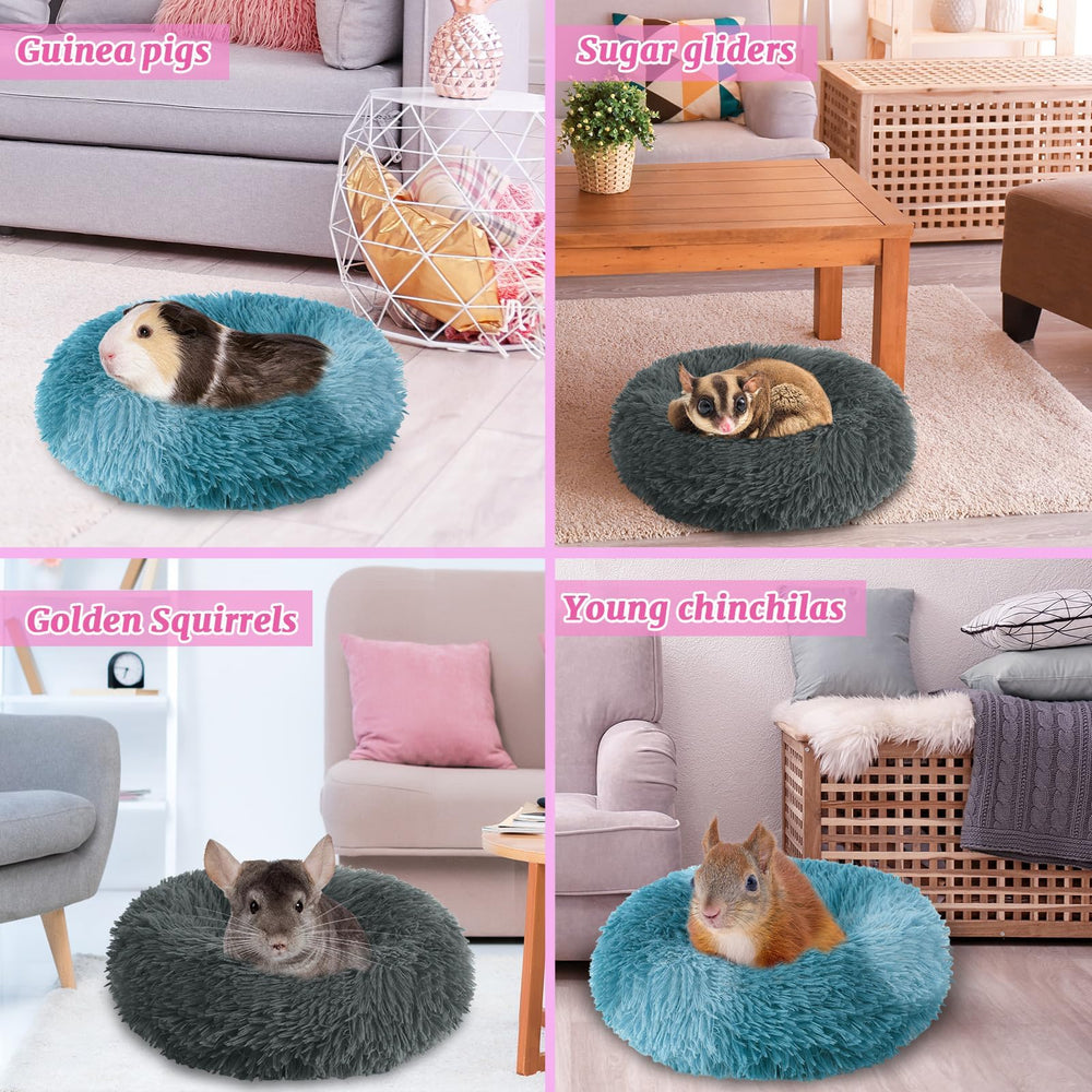 PETKNOWS design-anti-glissement-intégré, utilisation plus sûre.