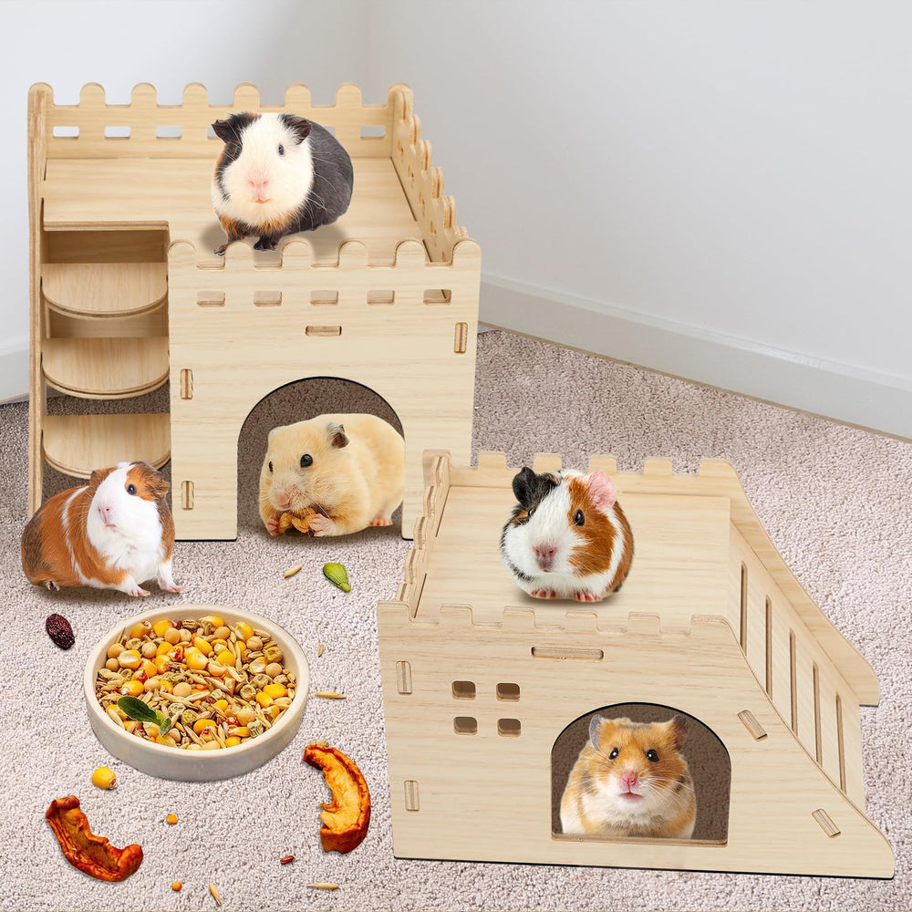 Cachettes variées PetKnows pour explorations et sécurité
