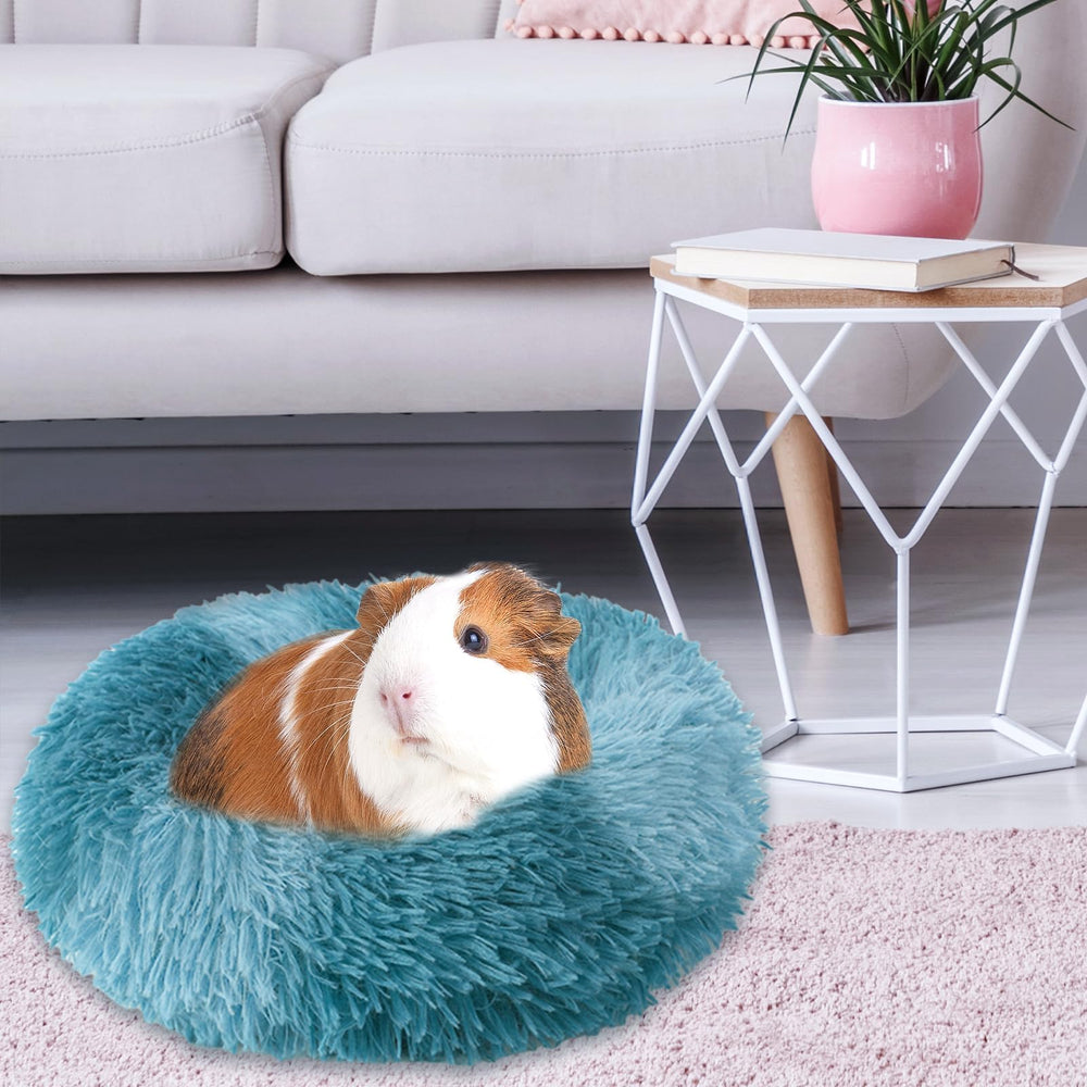 PETKNOWS nid-30x30-cm-taille-ideale pour cobayes et compagnons.