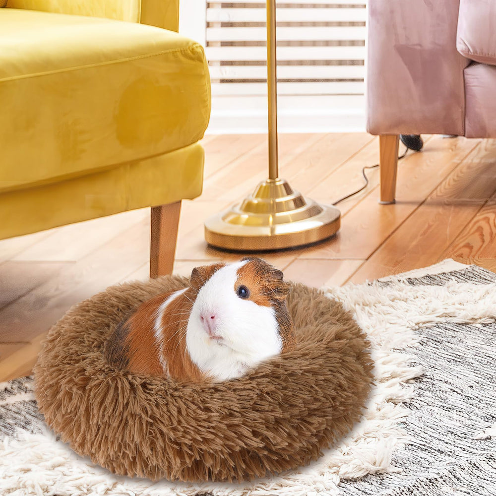 PETKNOWS taille 20x20 cm, adaptée pour cochons d’Inde et hamsters.