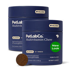 PetLab Co. 22 en 1 multivitamine chien – bouteille visible et soutien global.