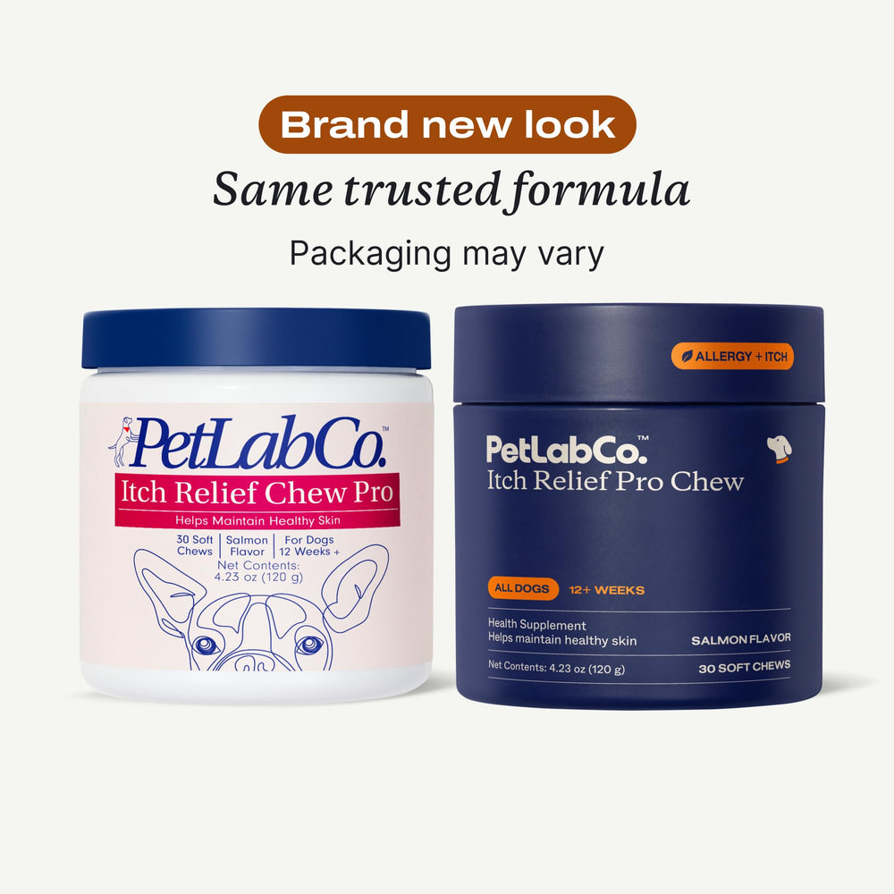 Friandises saumon PetLab Co, faciles à mâcher pour chiens actifs.